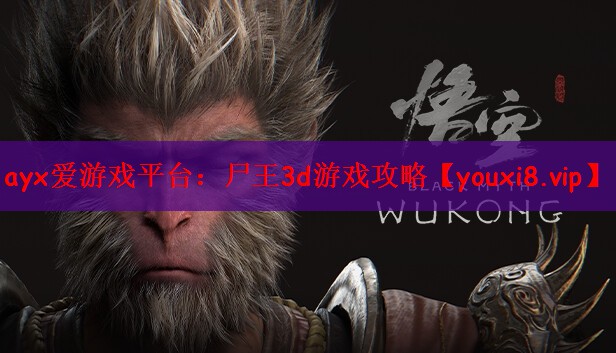 ayx爱游戏平台：尸王3d游戏攻略