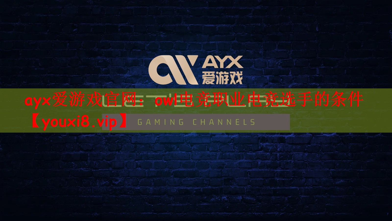 ayx爱游戏官网：owl电竞职业电竞选手的条件